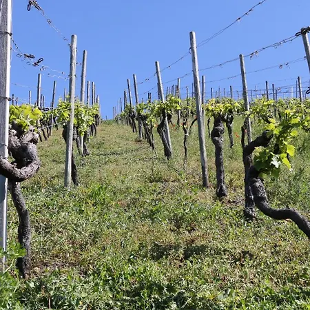 Klemmbachidyll Apartamento Badenweiler