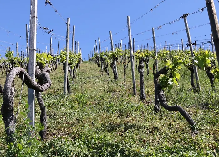 Klemmbachidyll Apartament Badenweiler