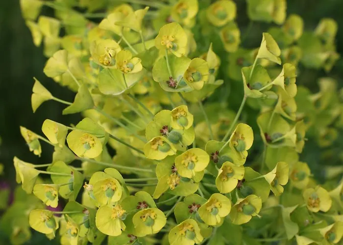 Klemmbachidyll * באדנוויילר